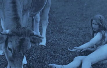 Vintage Babes With Pets