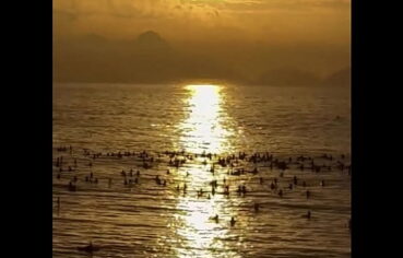 Estou no Rio de Janeiro até domingo